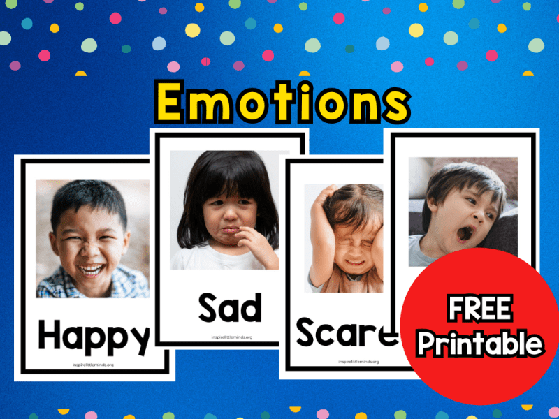Fun Ways to Teach Emotions to Young Children- Flash&nbsp;Cards