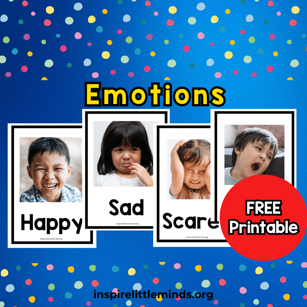 Fun Ways to Teach Emotions to Young Children- Flash&nbsp;Cards