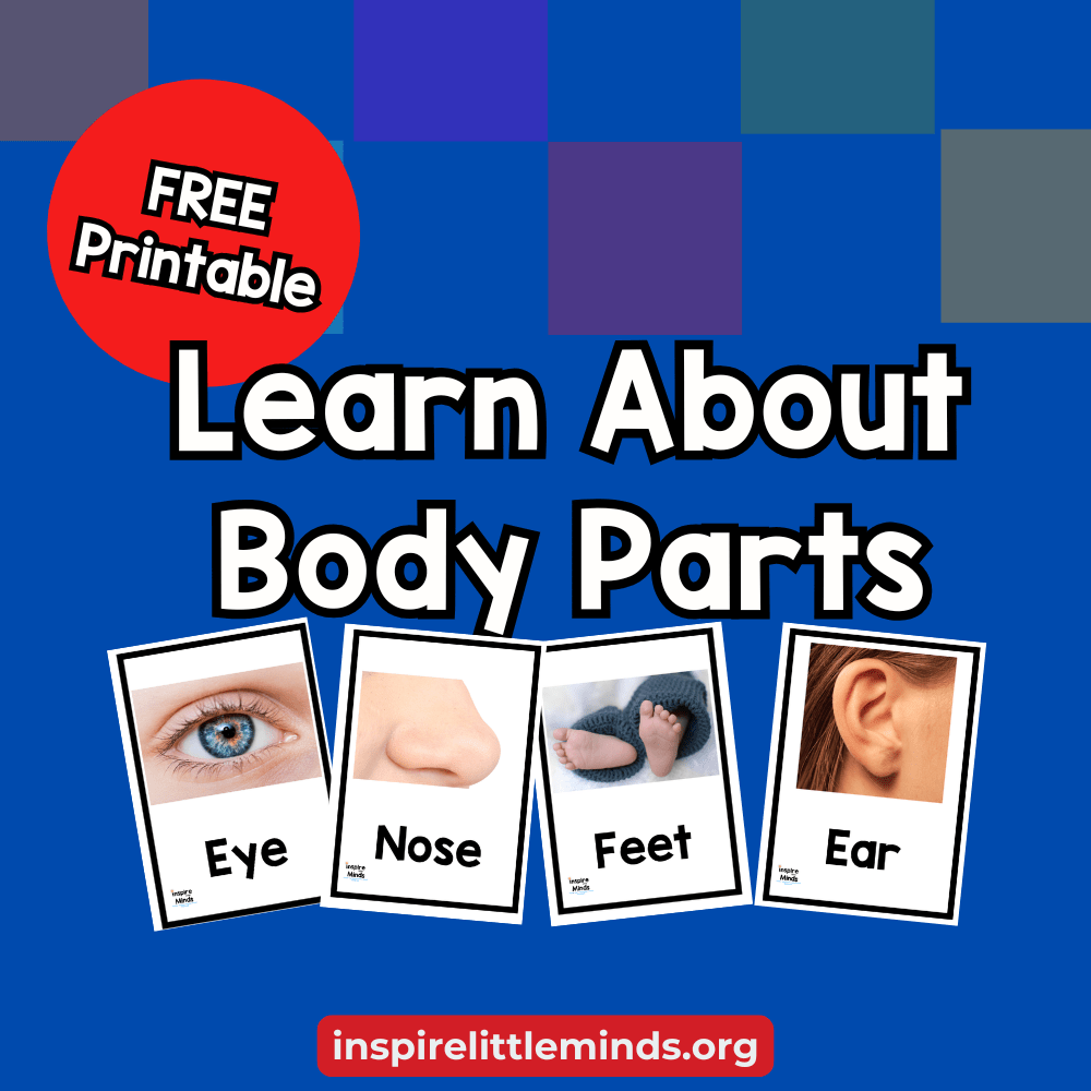 Fun Ways to Teach Body Parts to&nbsp;Preschoolers