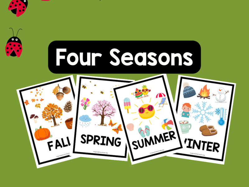 Explore Spring, Summer, Fall, and Winter with Free Flash&nbsp;Cards