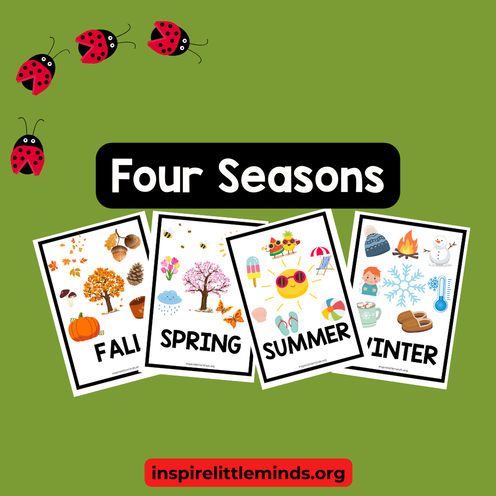 Explore Spring, Summer, Fall, and Winter with Free Flash&nbsp;Cards