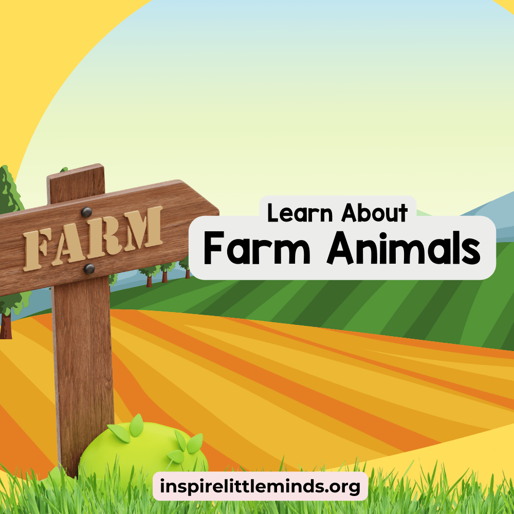 Let’s Learn About Farm&nbsp;Animals