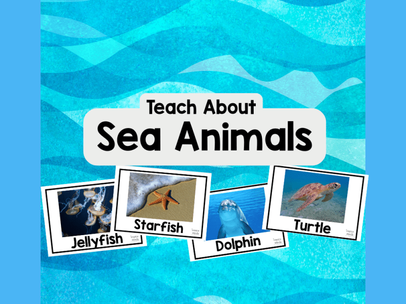 Teach Preschoolers About Sea&nbsp;Animals