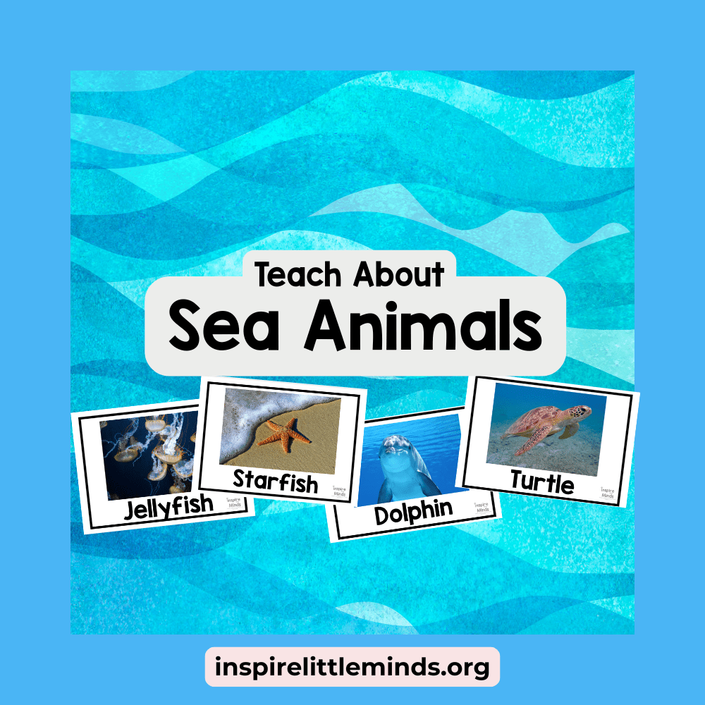 Teach Preschoolers About Sea&nbsp;Animals