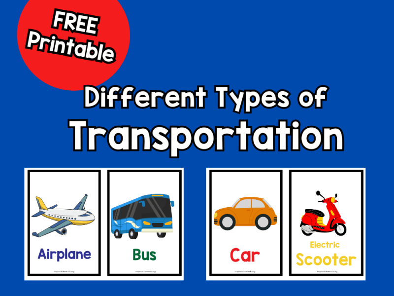 Different Types of&nbsp;Transportation