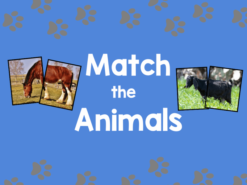 Animal Match-Up: A Printable Game for Early&nbsp;Learners