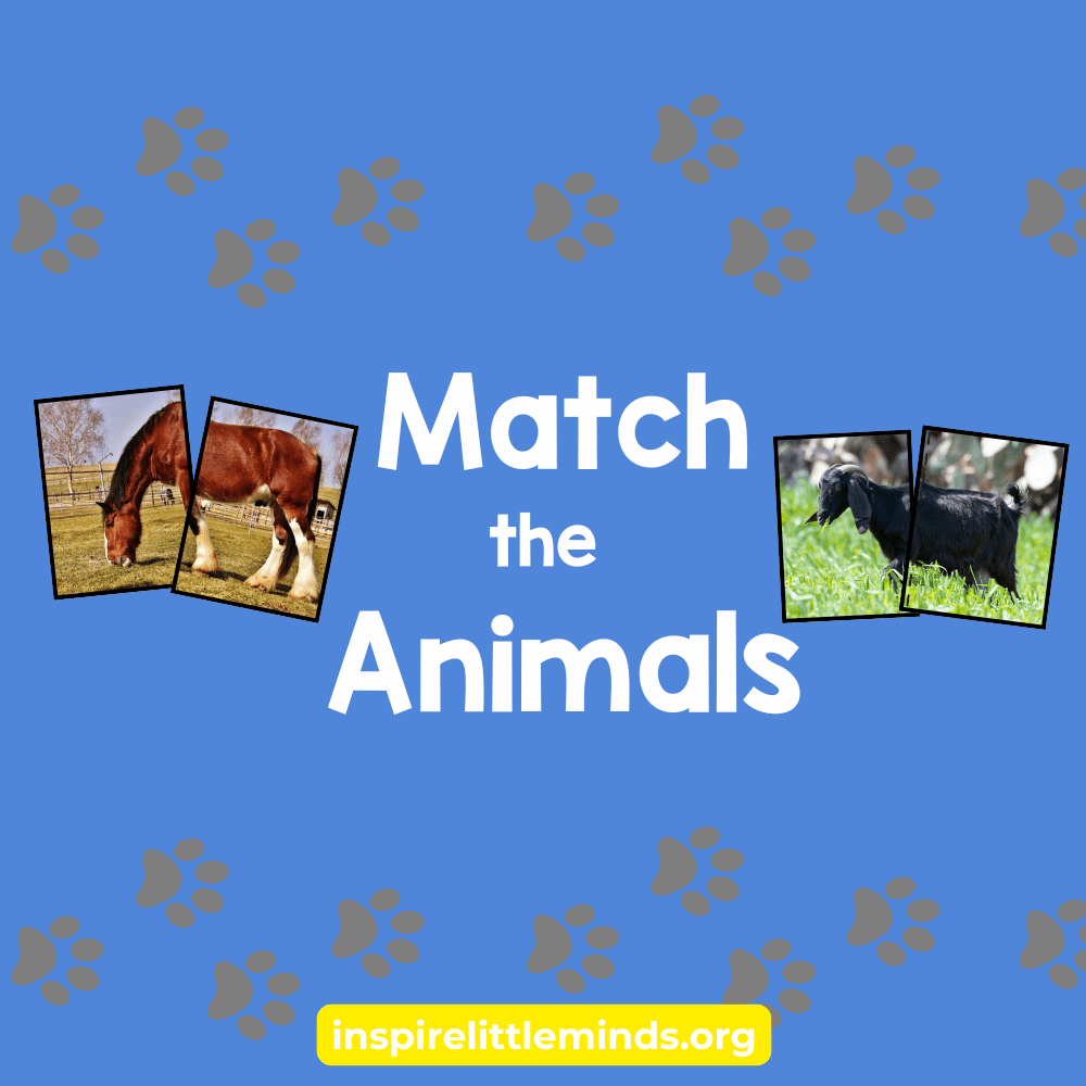 Animal Match-Up: A Printable Game for Early&nbsp;Learners
